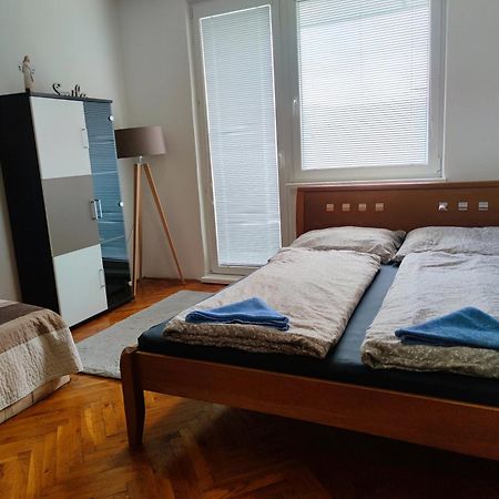 Fast Apartment In The Centrum Левице Экстерьер фото
