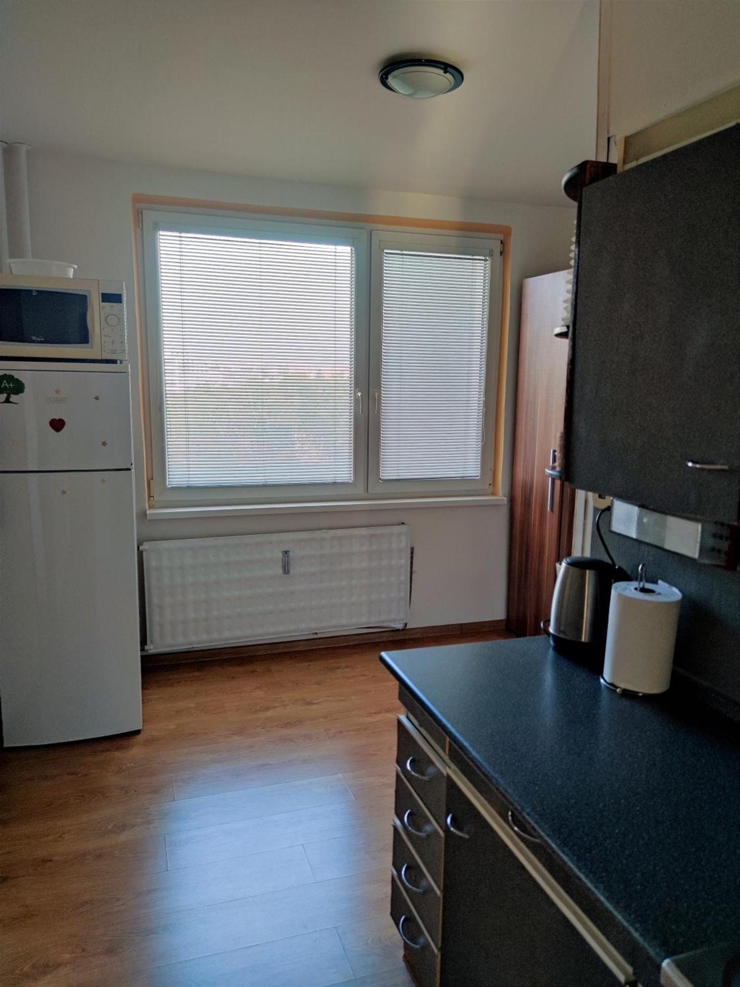 Fast Apartment In The Centrum Левице Экстерьер фото